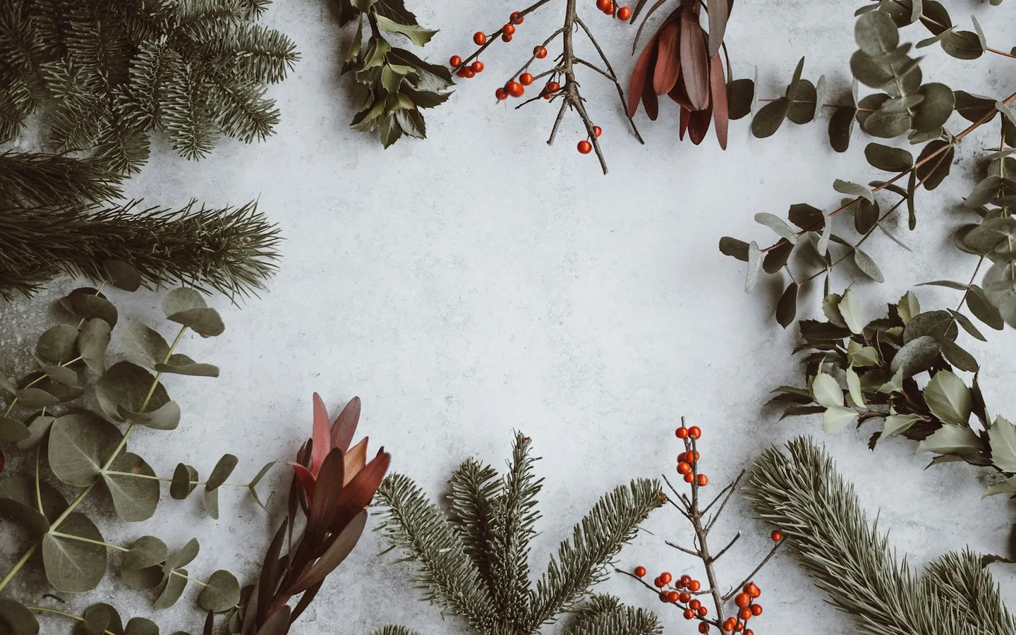 Pine, eucalyptus and red berries framing a pale snowy background